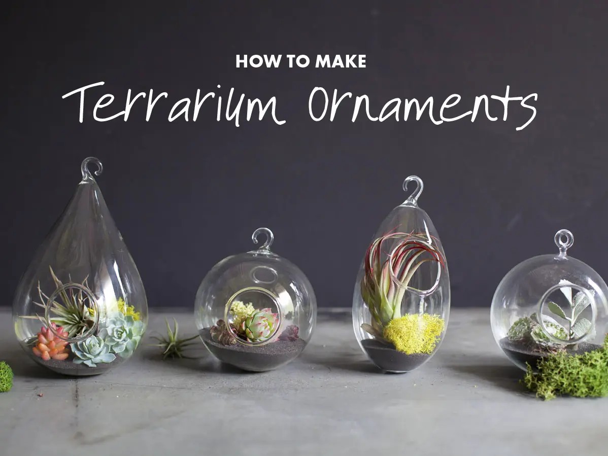 Terrarium Treasures