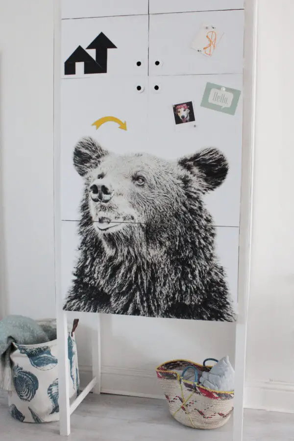 Bear On A Box Shelf