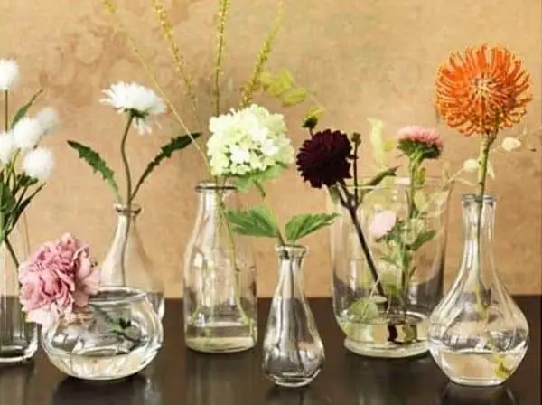 Variety of Glass Vases