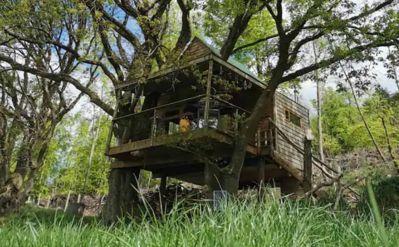 Hilltop Treehouse, Baltinglass