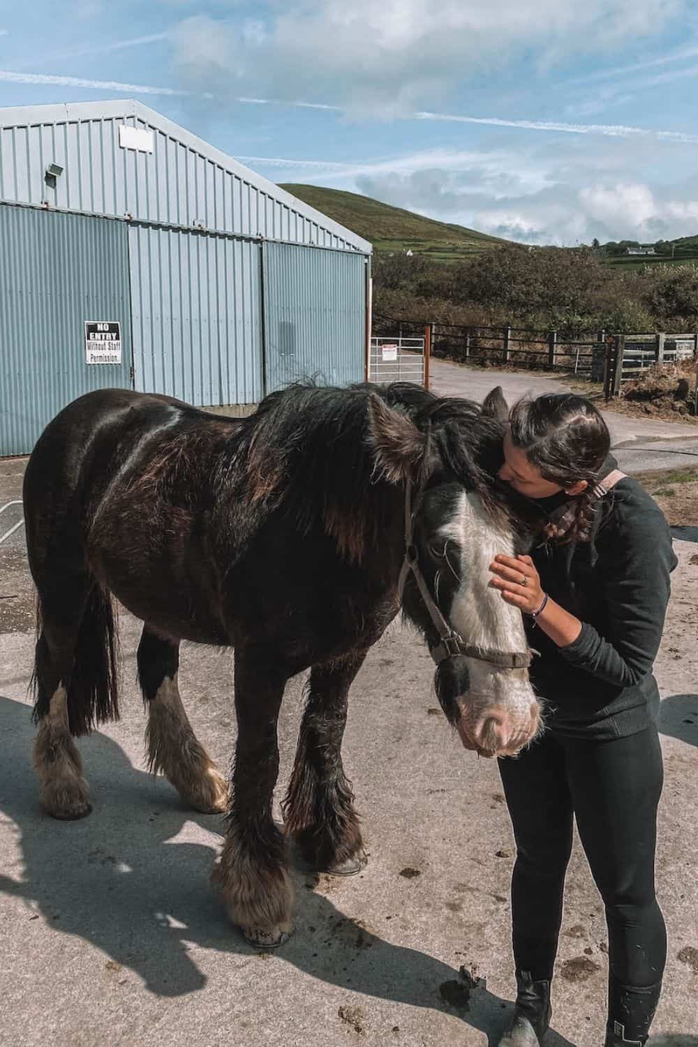 Horse riding in Ventry