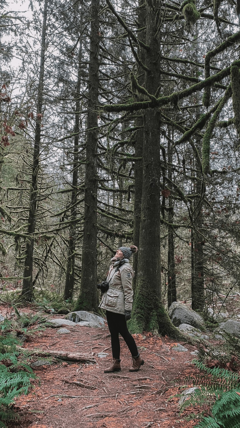 Lynn Canyon Suspension Bridge: The Most Complete Guide (by a Local)