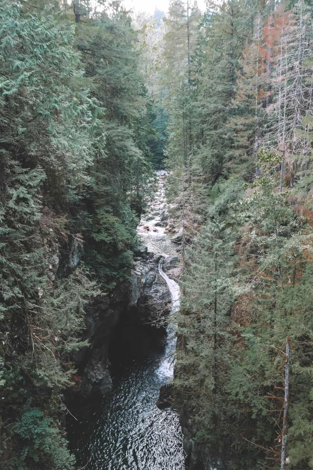 Take a plunge in Lynn Valley