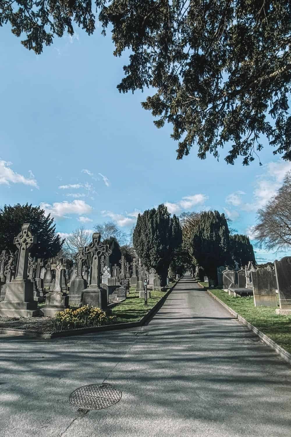 Botanical Gardens and Glasnevin Cemetery (20min drive – 1h transit)