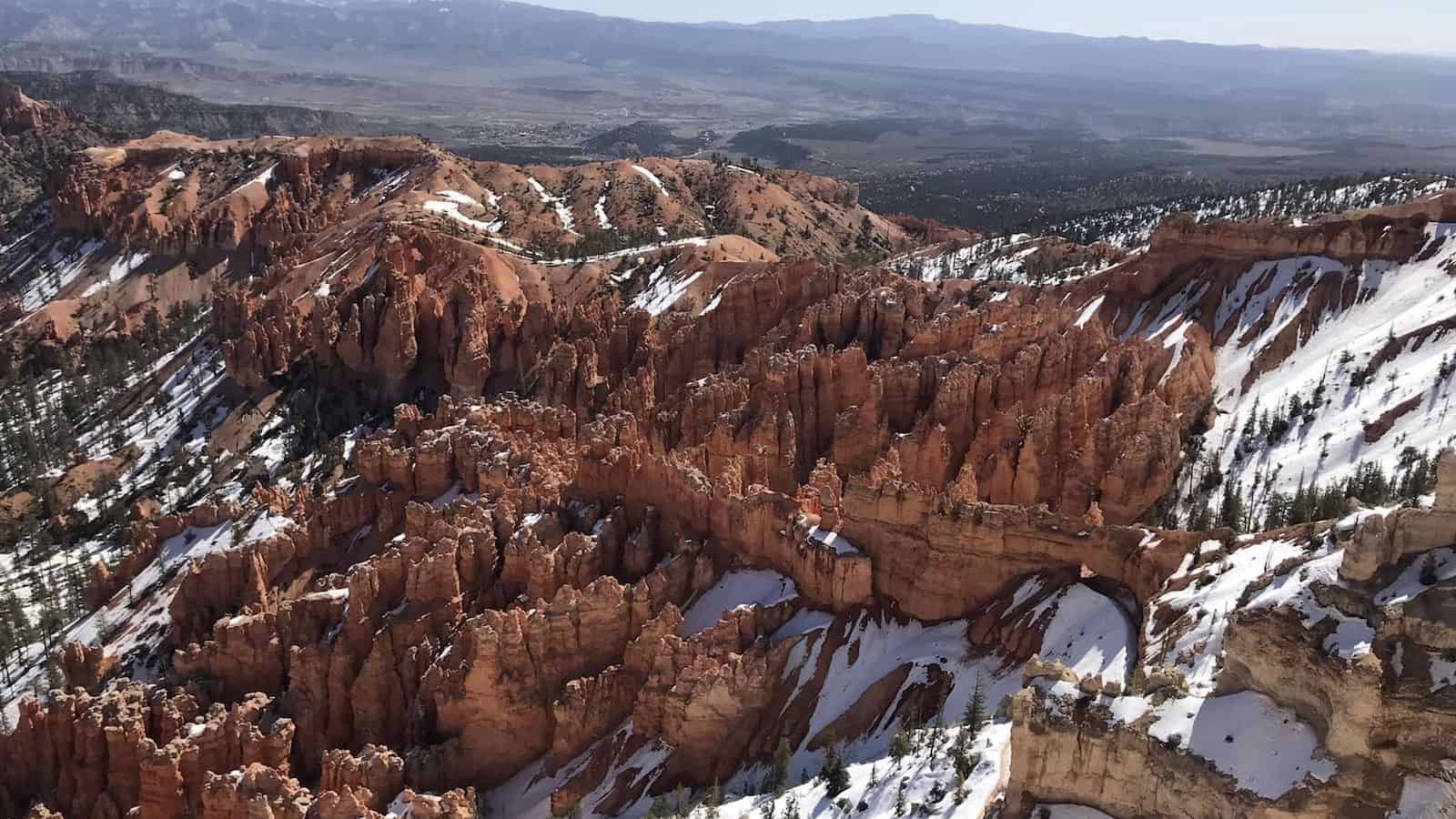 Bristlecone Loop Trail