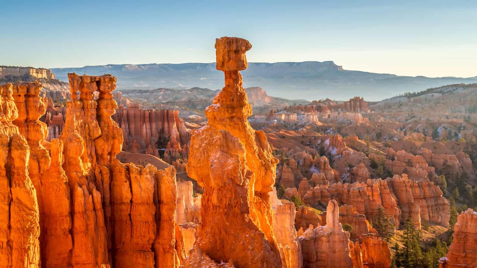 See Hoodoos in Bryce Canyon