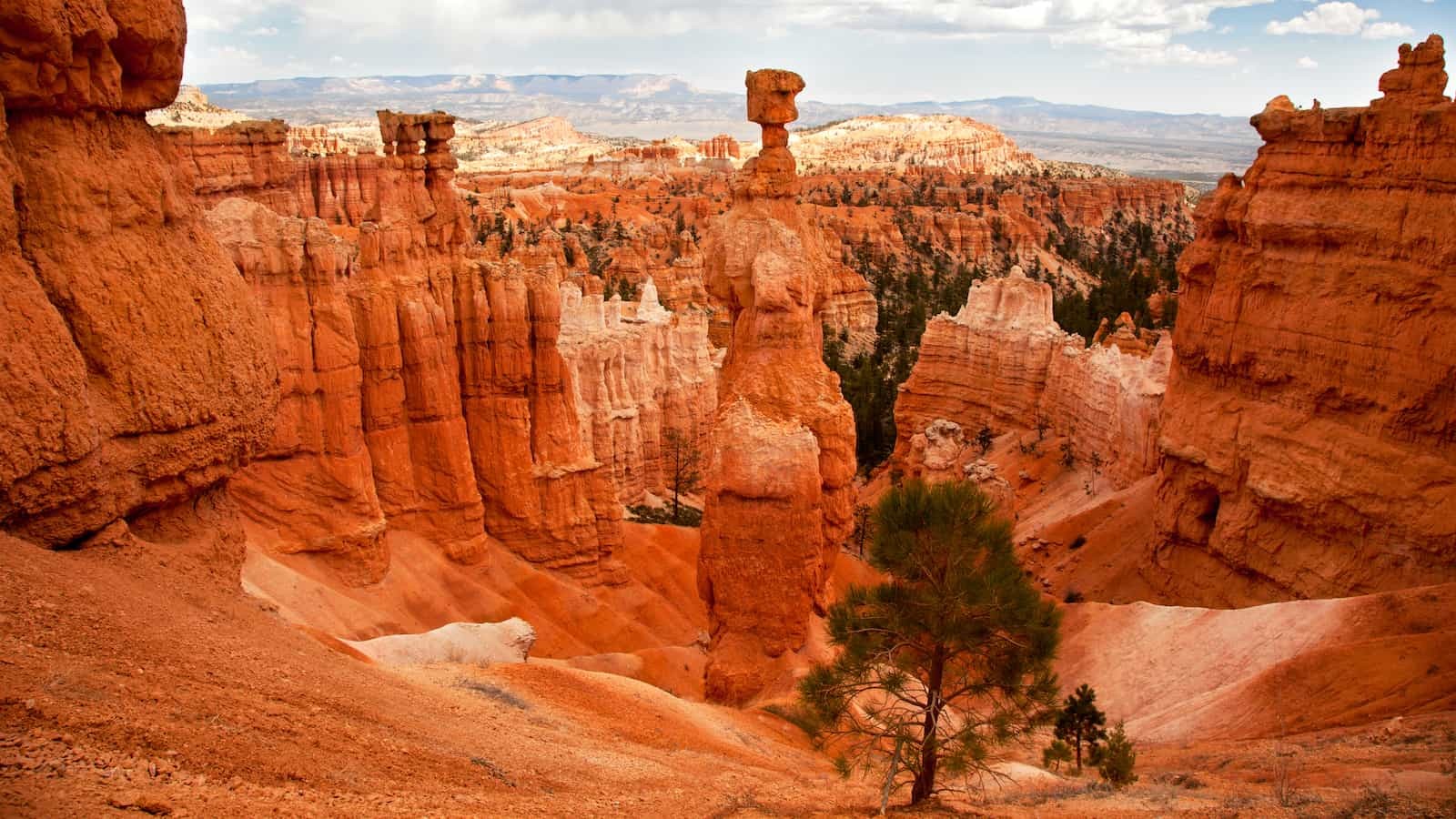 Bryce Amphitheater