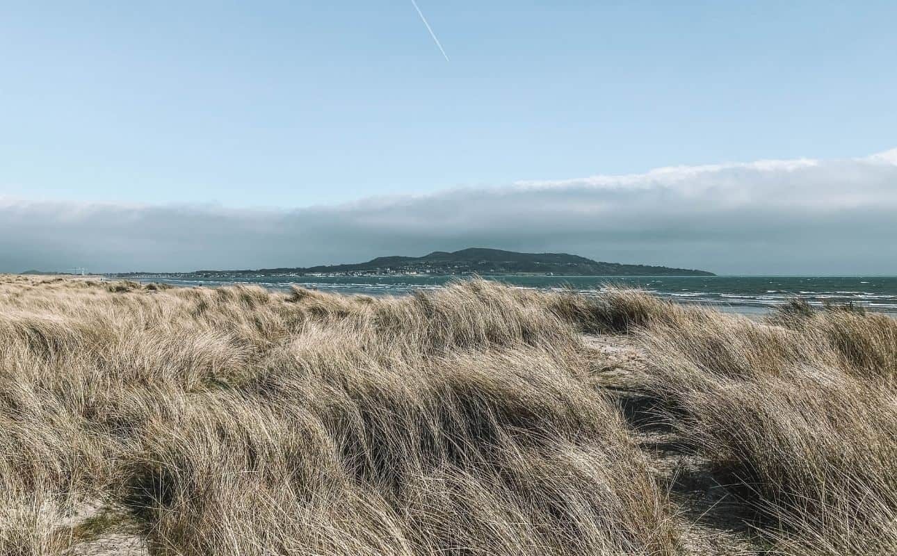 Bull Island Dublin: A National Nature Reserve