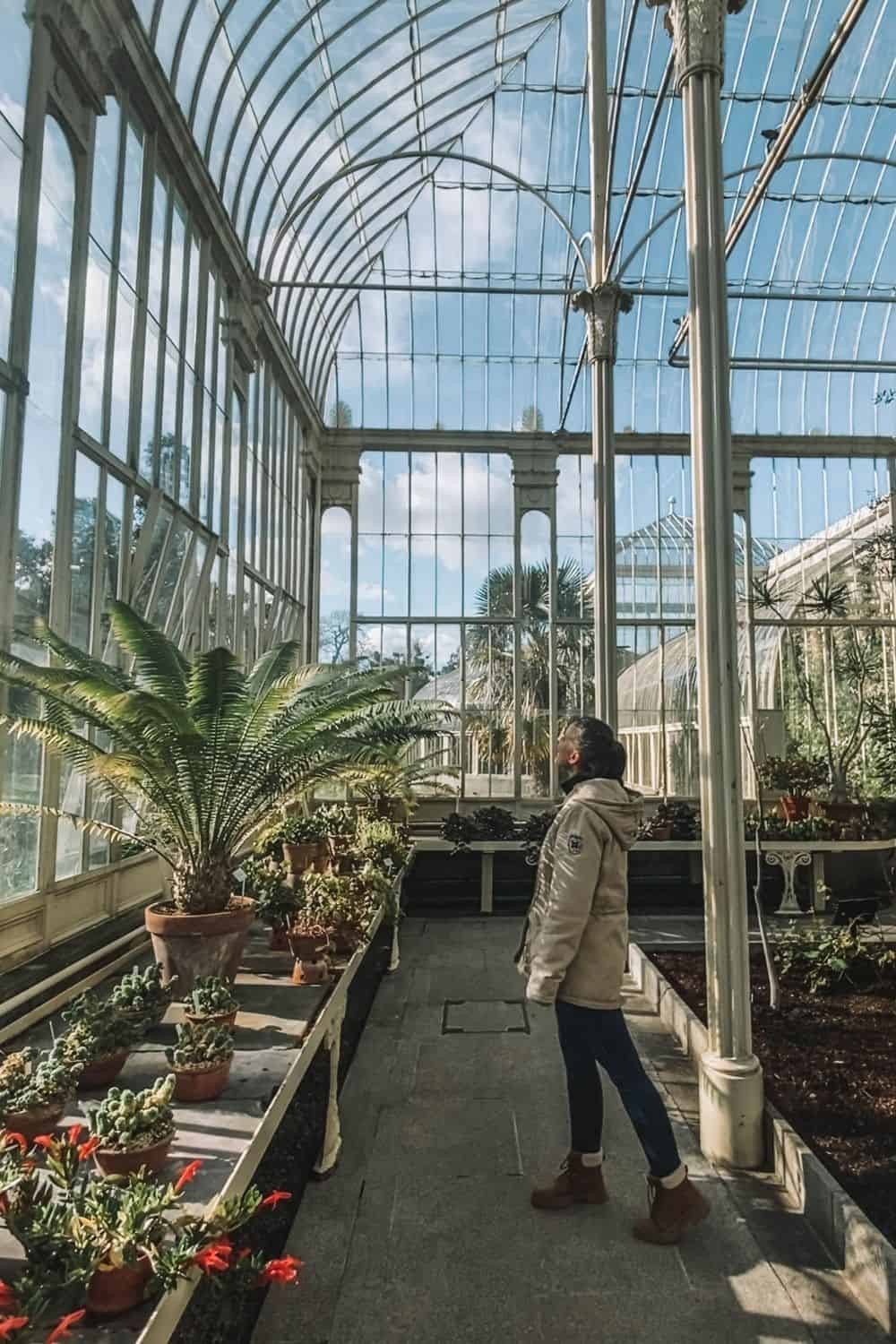 Greenhouse Visit