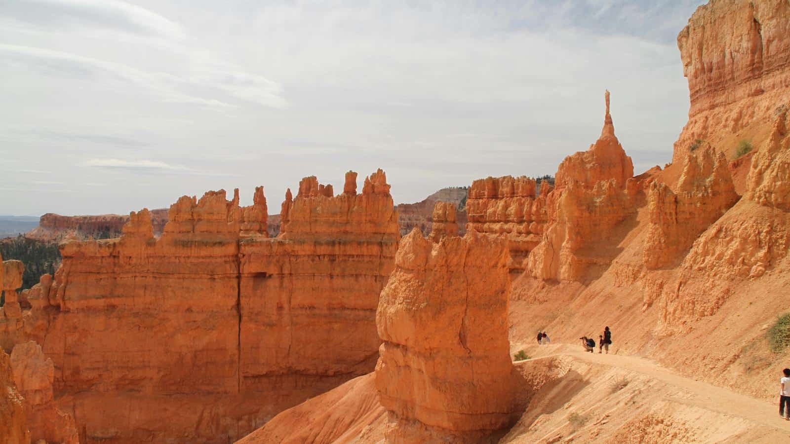 Navajo Loop Trail