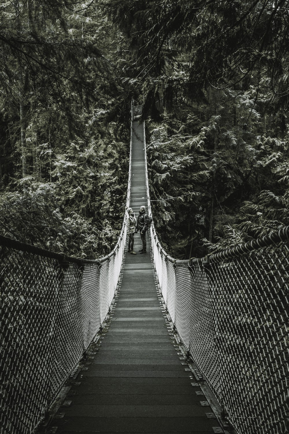 Everything you need to know about North Vancouver Lynn Canyon Park