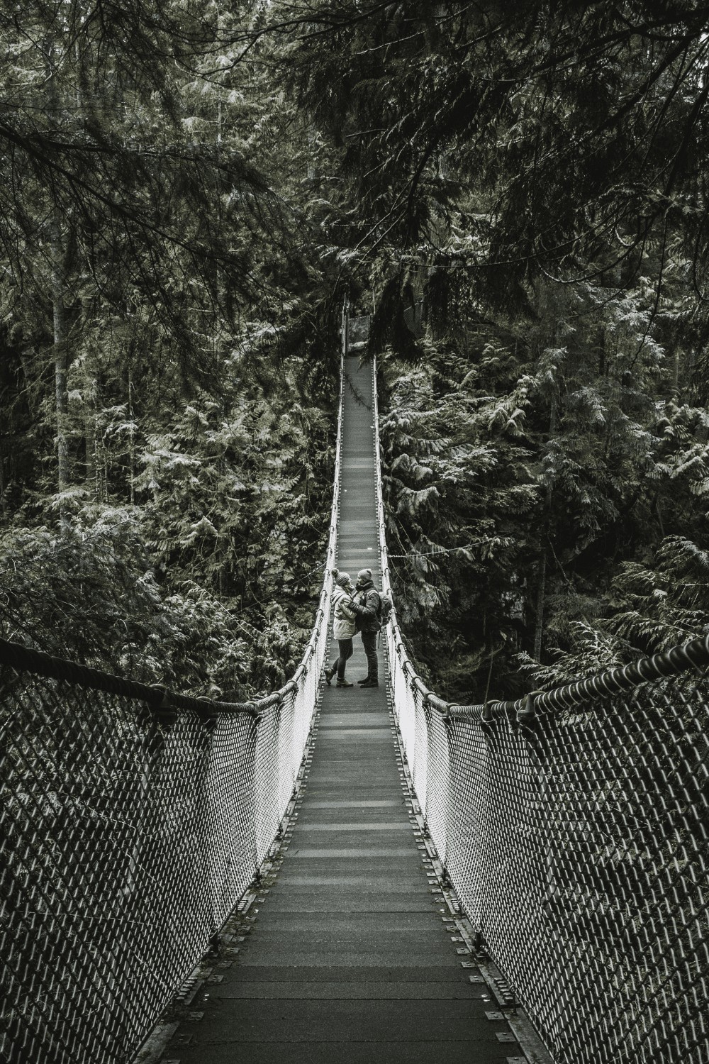 Everything you need to know about Lynn Canyon Suspension Bridge