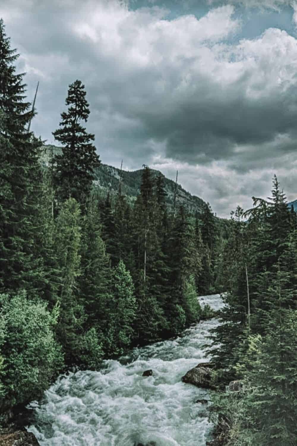 Cheakamus River Suspension Bridge