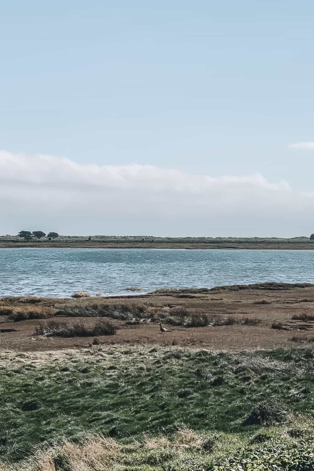 The North Bull Island Walk