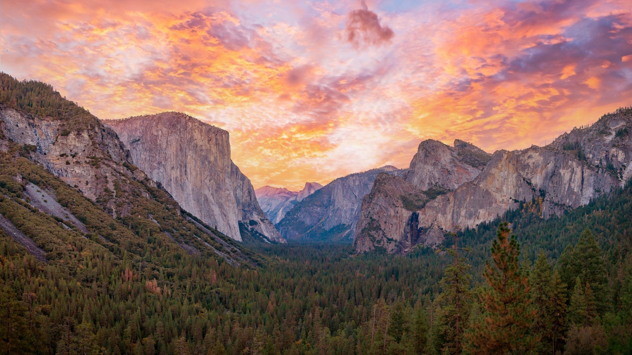 Yosemite National Park