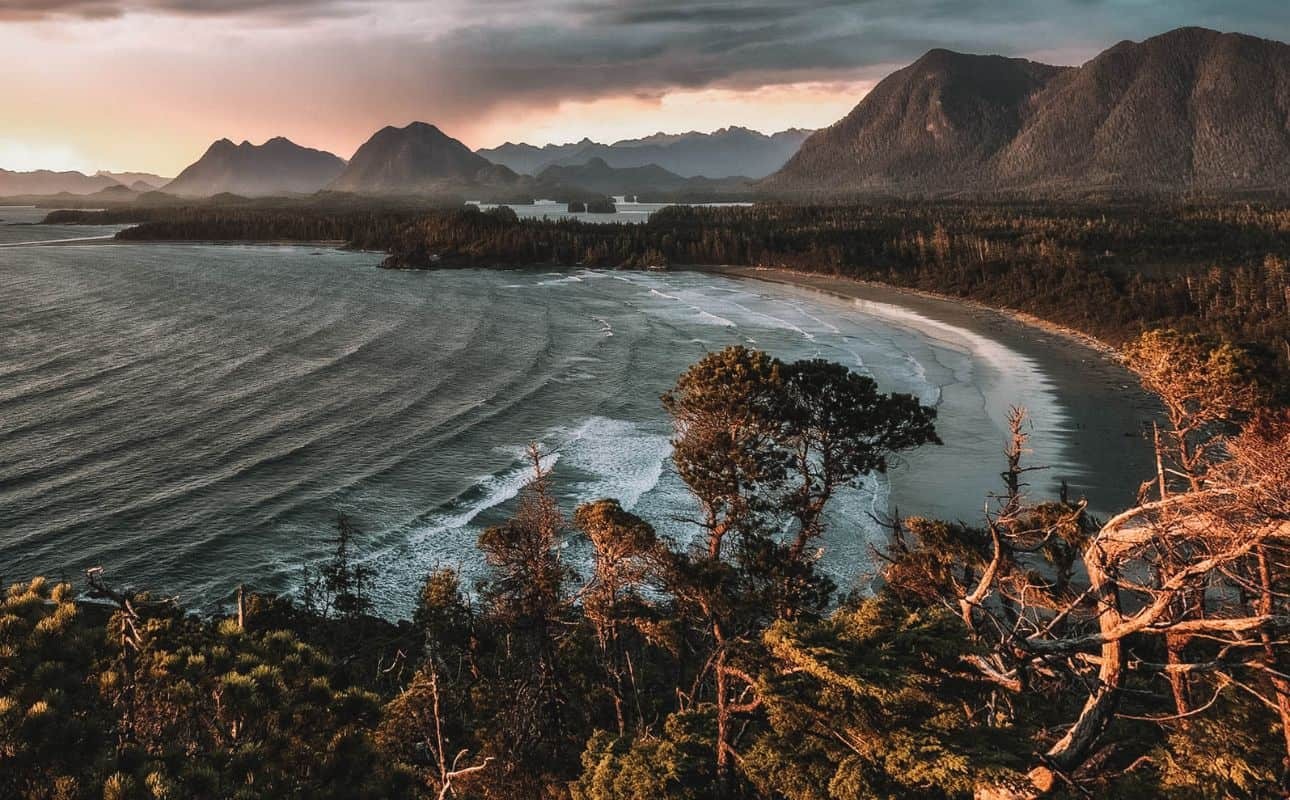 What is the Cox Bay Lookout Tofino