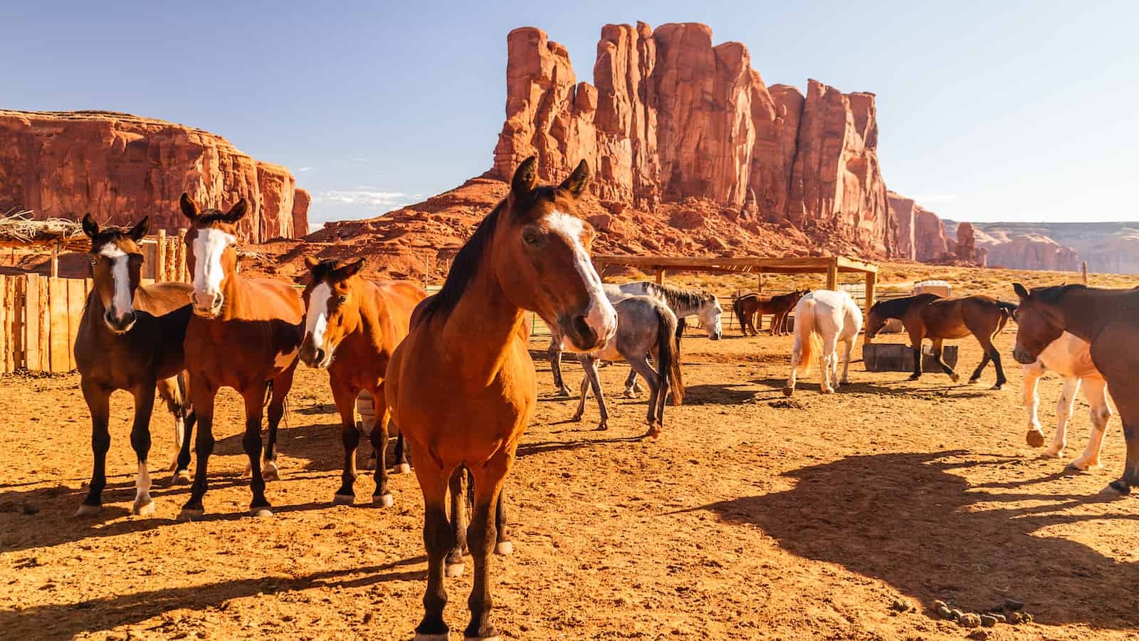 Horseback Riding in Monument Valley