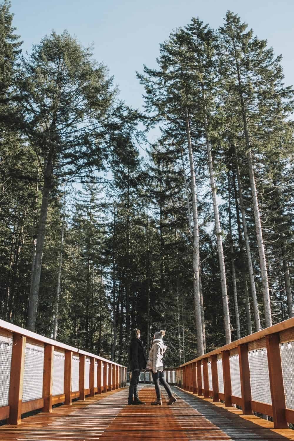 Cypress Trestle Bridge, one of the peaceful free date ideas Vancouver offers