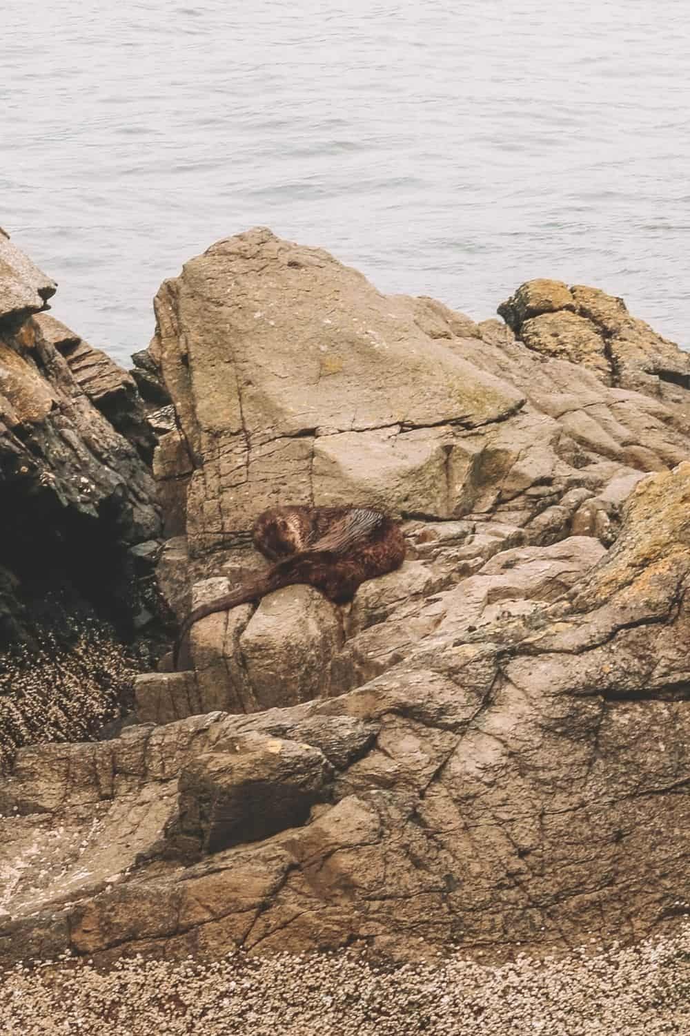 Third Beach: a must-see Stanley Park beach