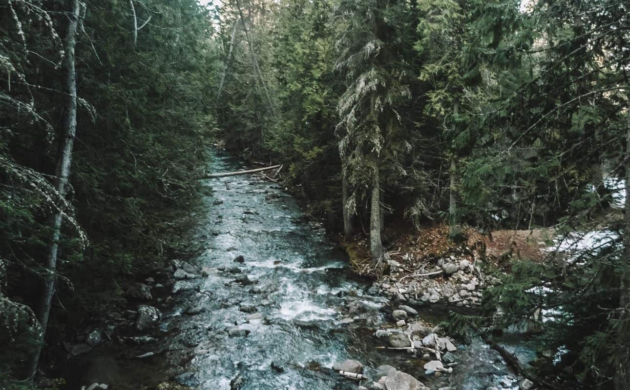 Kootenai National Wildlife Refuge, one of the beautiful Idaho things to do in summer