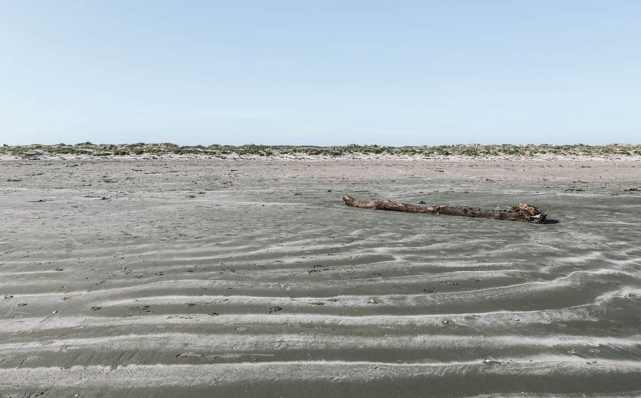 Walk on Dollymount strand