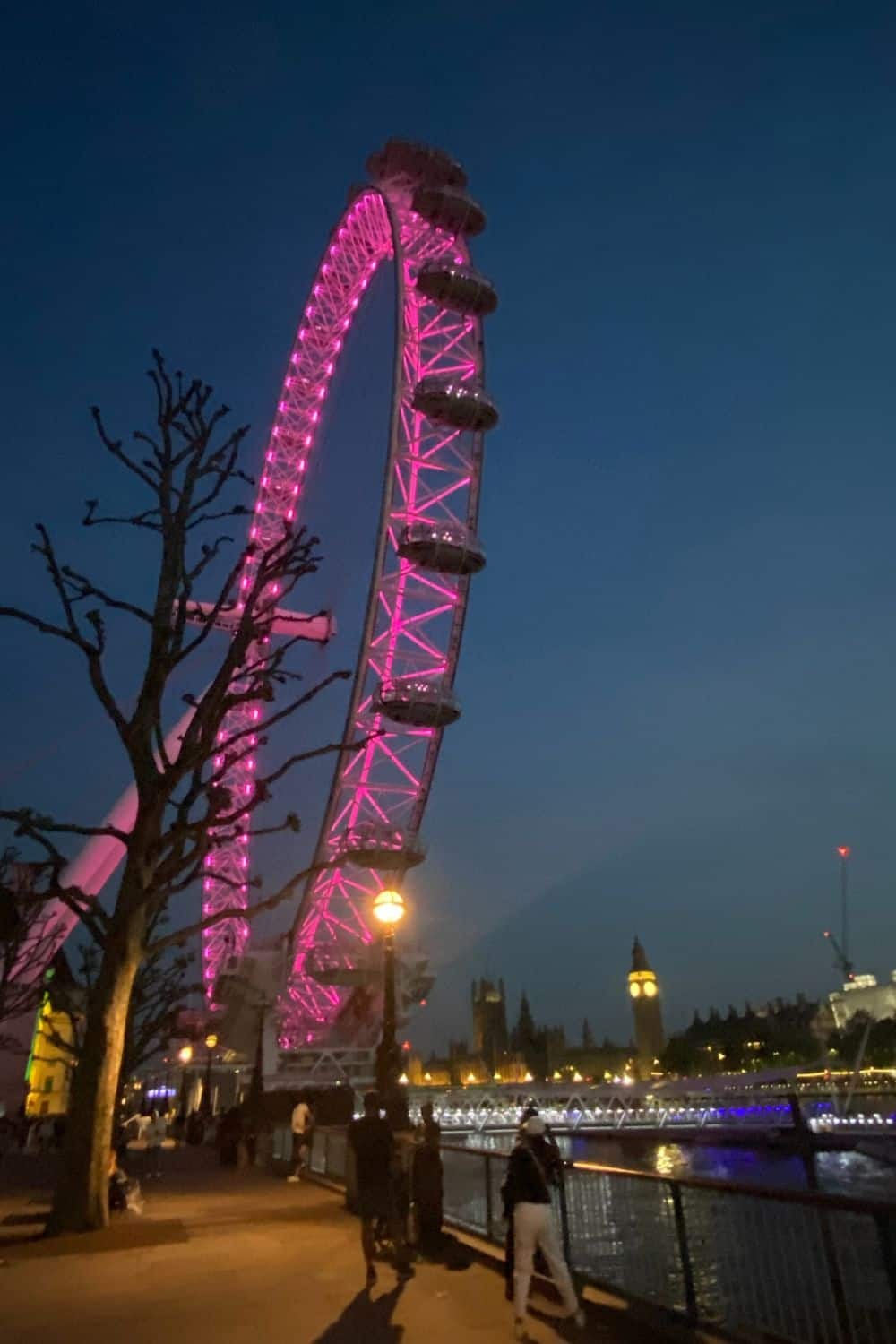 London Eye Champagne Experience