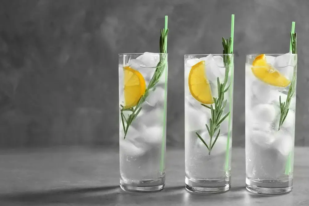 Rosemary Gin and Tonic