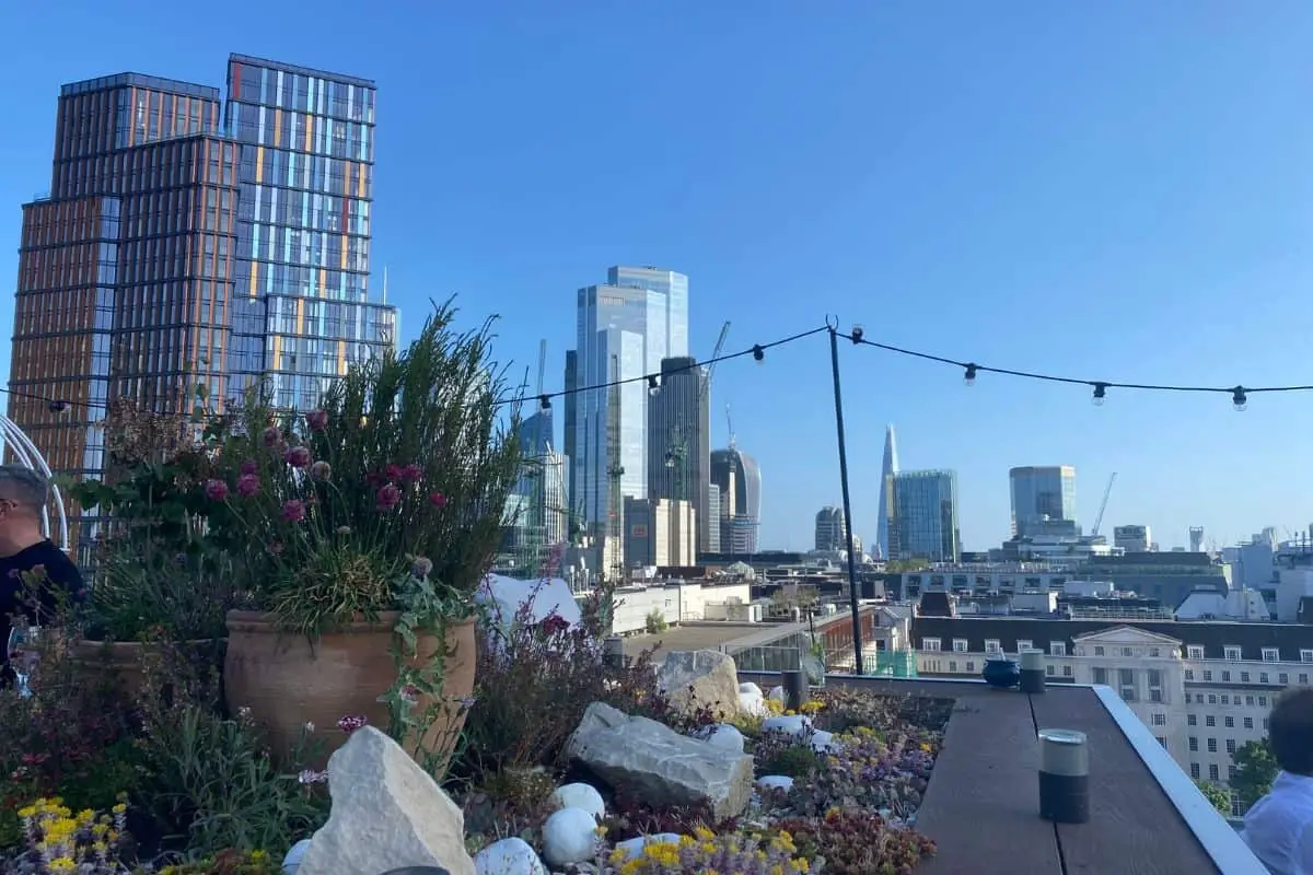 Rooftop Drinks at The Aviary