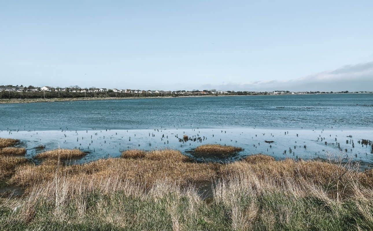 What is Bull Island Dublin