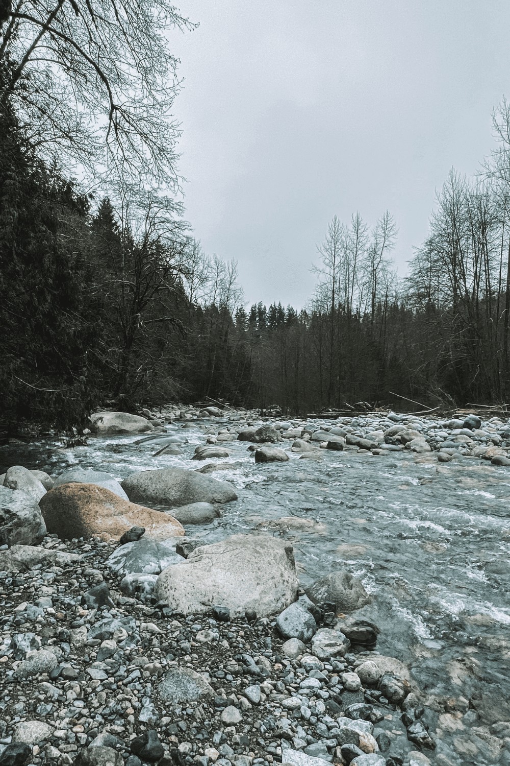 Everything you need to know about North Vancouver Lynn Canyon Park