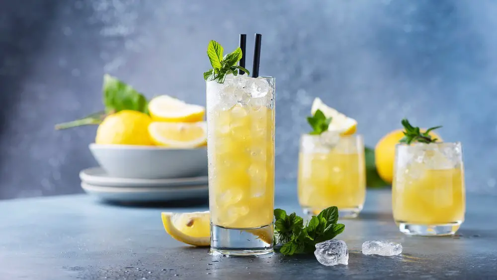 Gin and Lemonade Punch