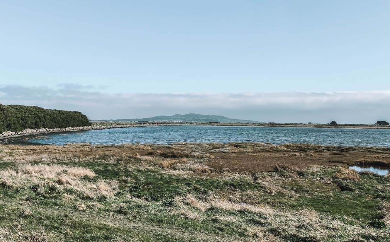 Bull Island history