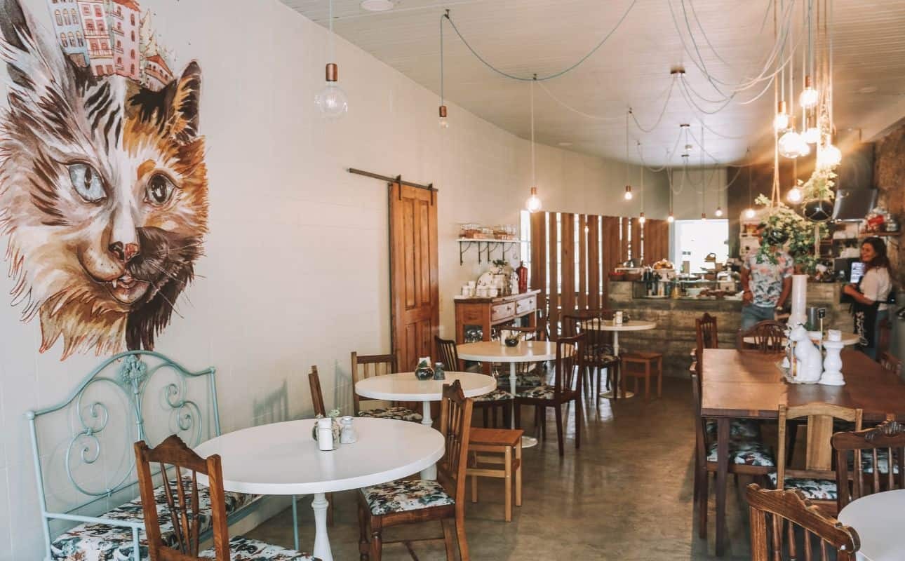 The Vegetarian Cafe experience at this Porto Cat cafe