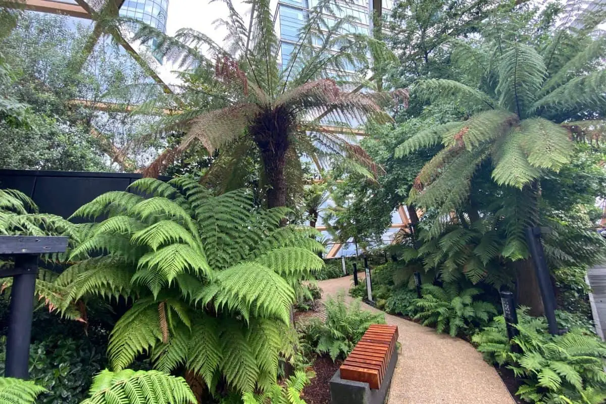 Relax in a Tropical Oasis at the Crossrail Place Rooftop