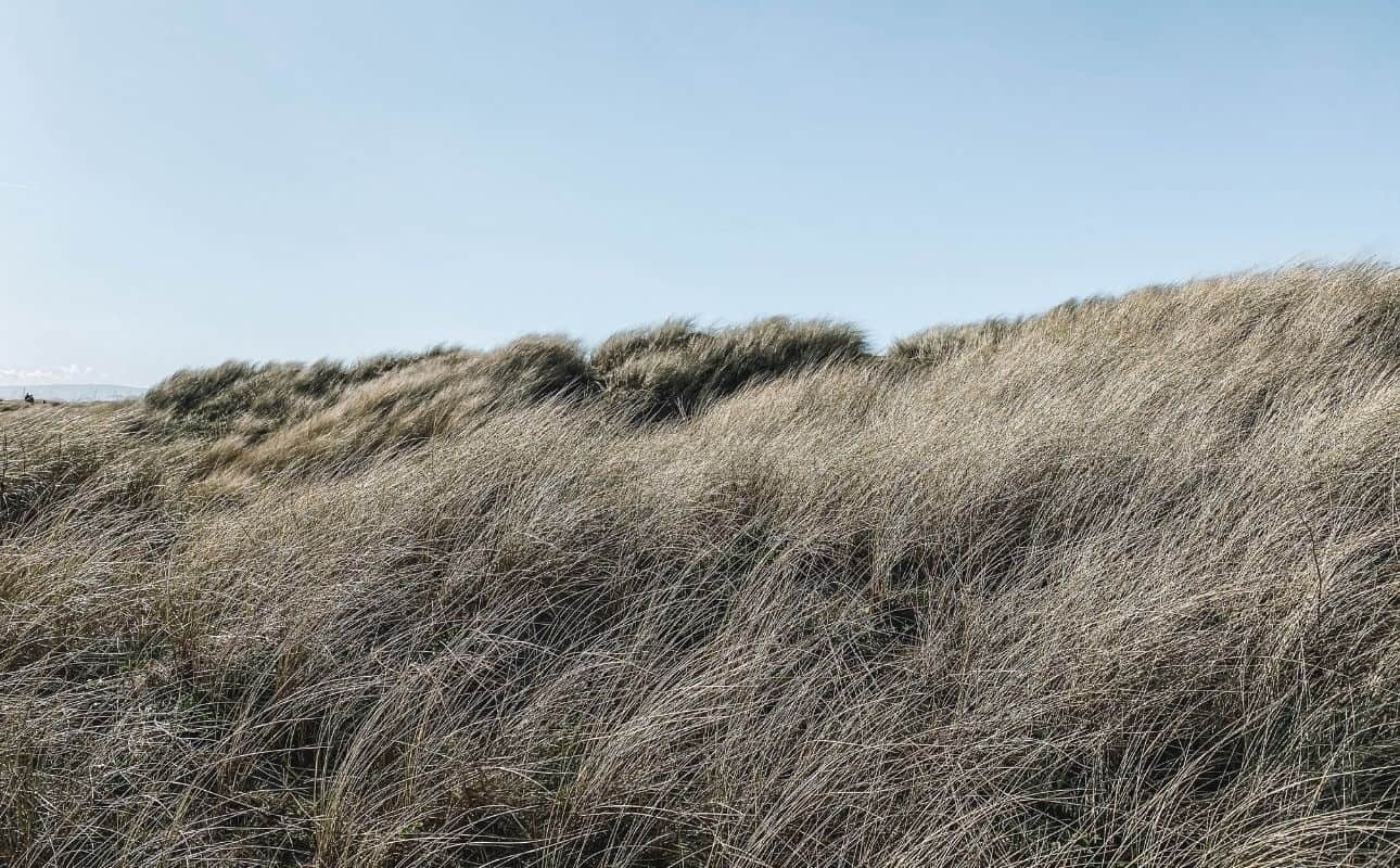 Safety and Practical Tips on Bull Island Dublin, Ireland