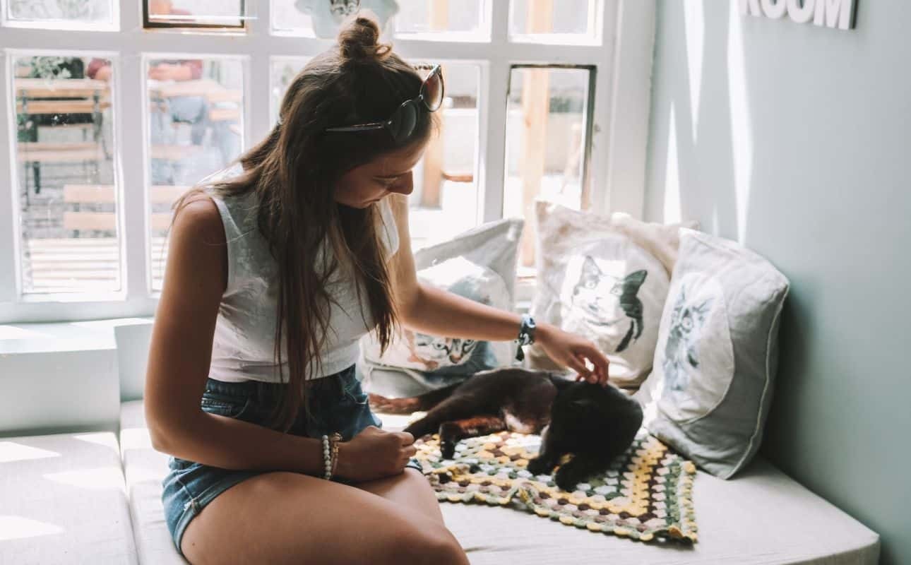 The rooms of this cat cafe in Porto