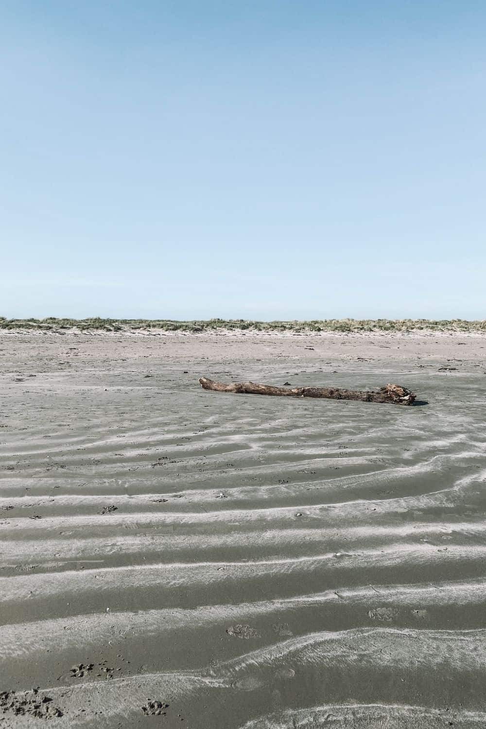 The North Bull Island Walk