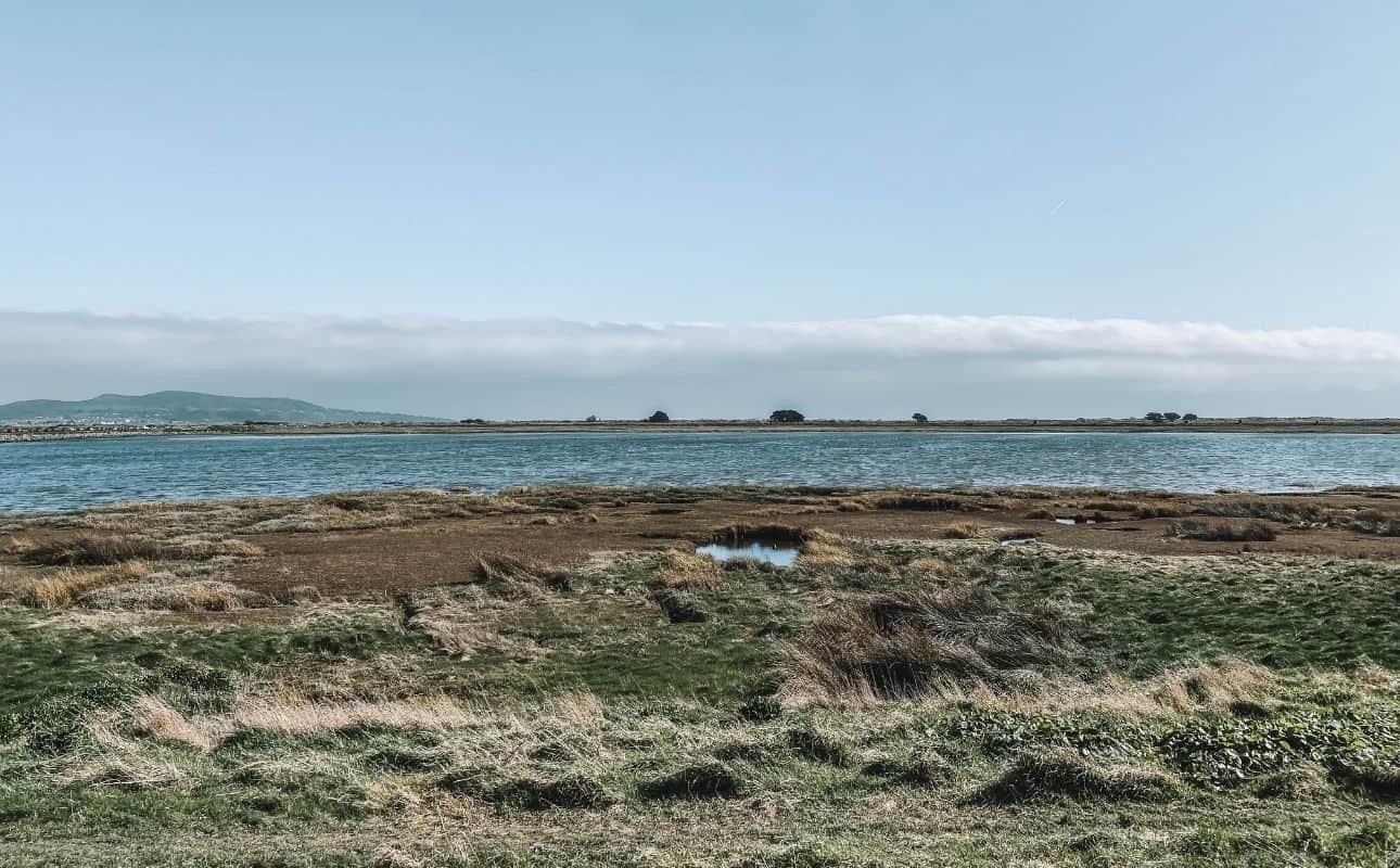 Best time to visit Bull Island Dublin