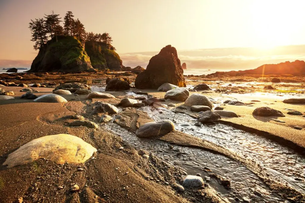 Washington Coast at Olympic National Park