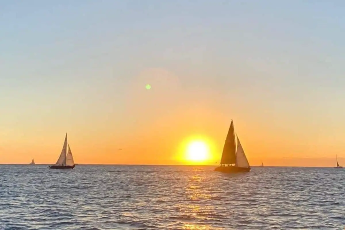 Private Catamaran Sunset Cruise with A Guide