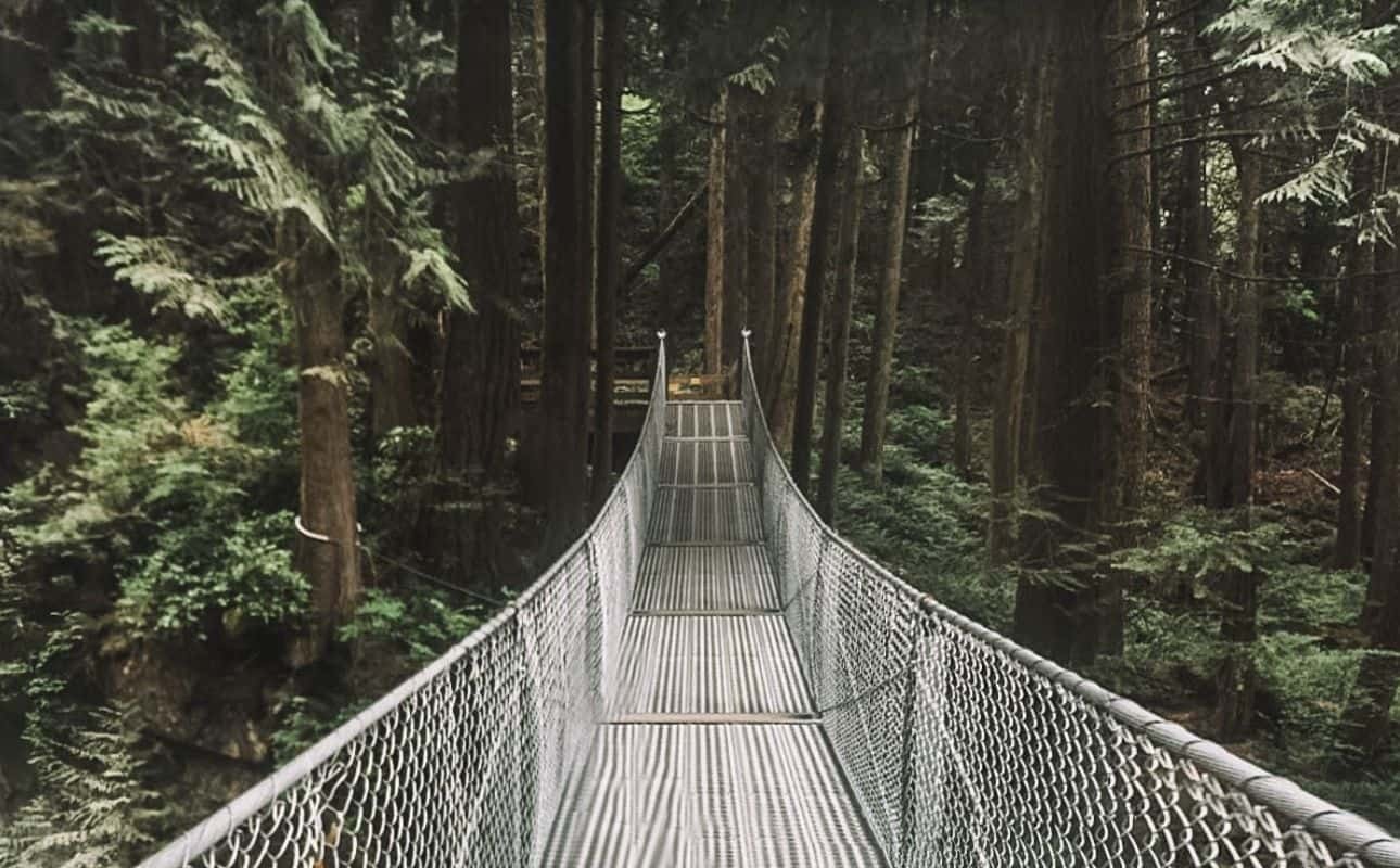 What tours do we recommend to visit the bridges of Vancouver?