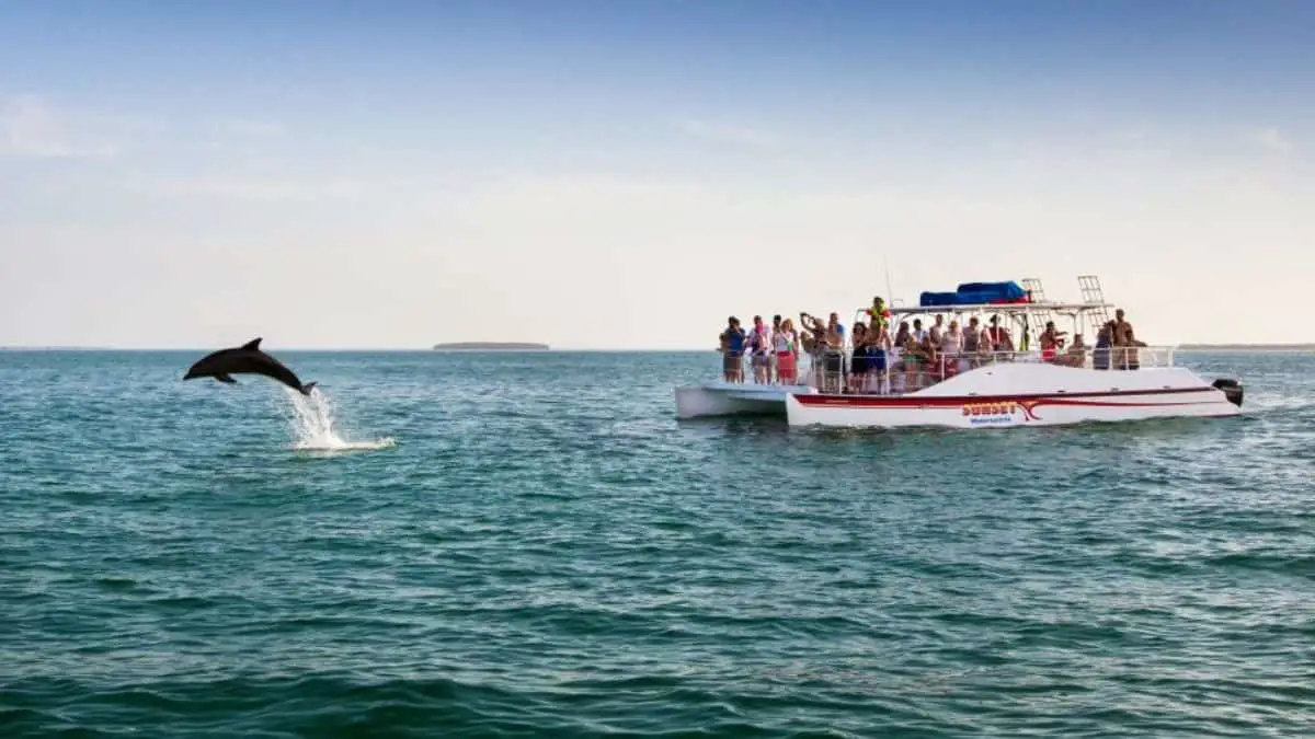 Sunset Sail with Live Music