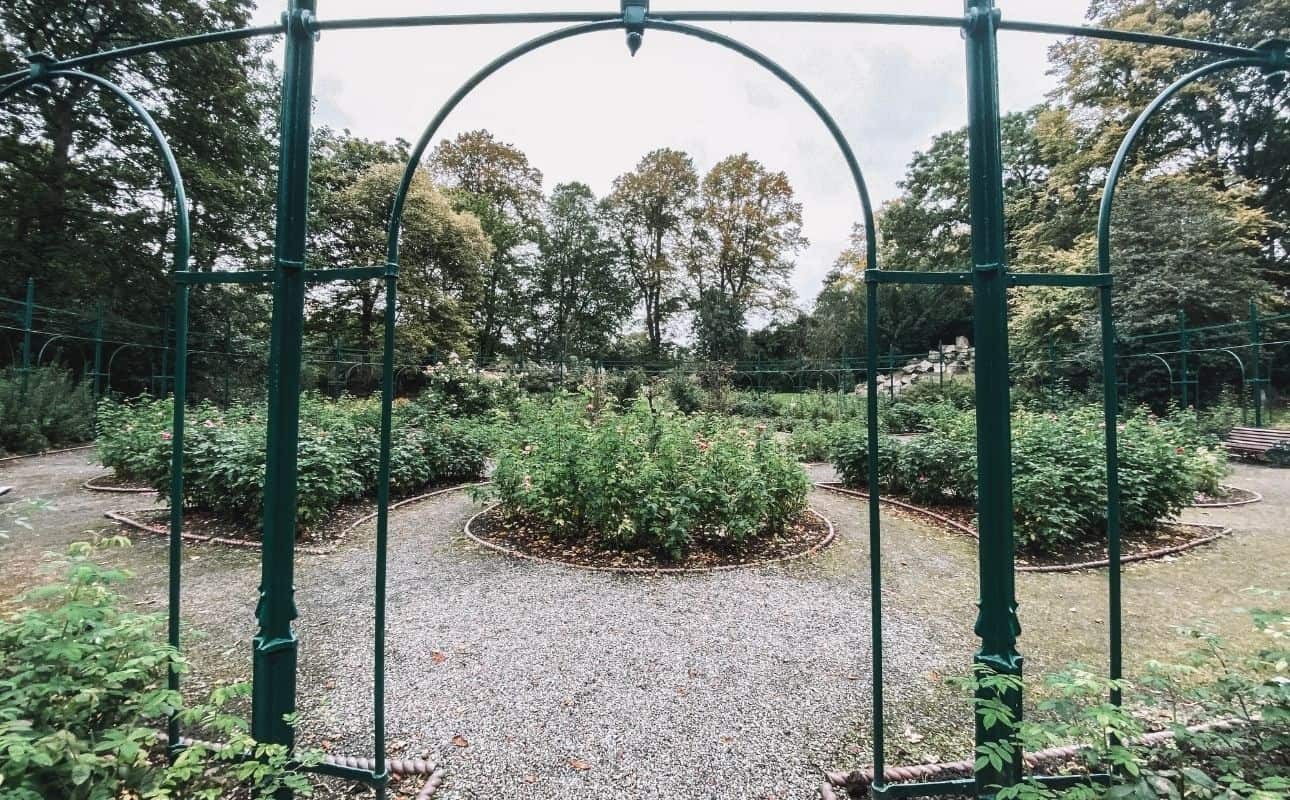 Picnic at Iveagh gardens, one of the hidden couple activities in Dublin