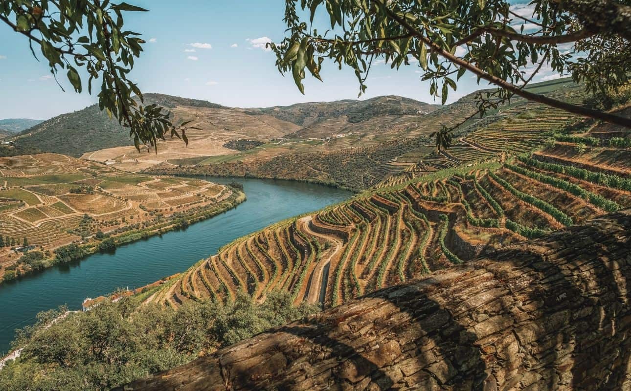 The Douro Valley, one of the most known landmarks in the country