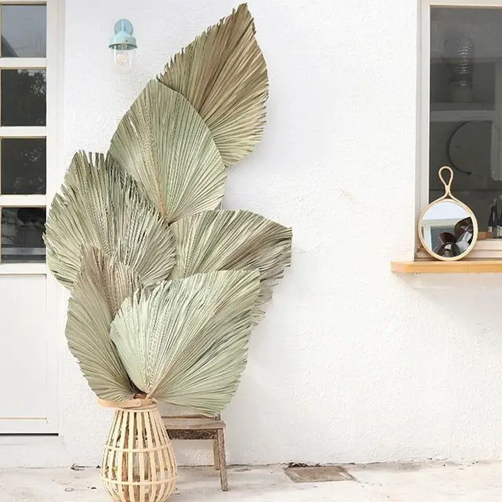 Oversized Palm Leaves