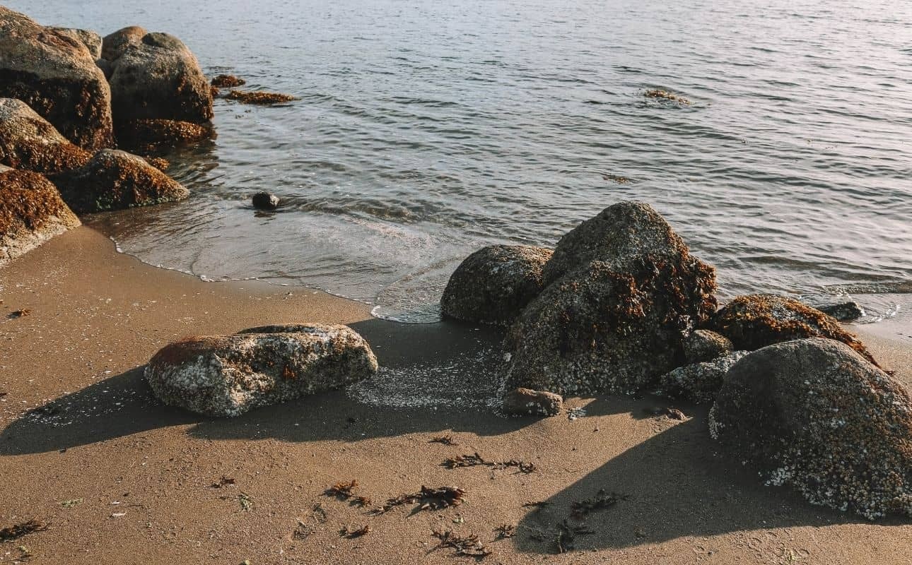 English Bay Beach