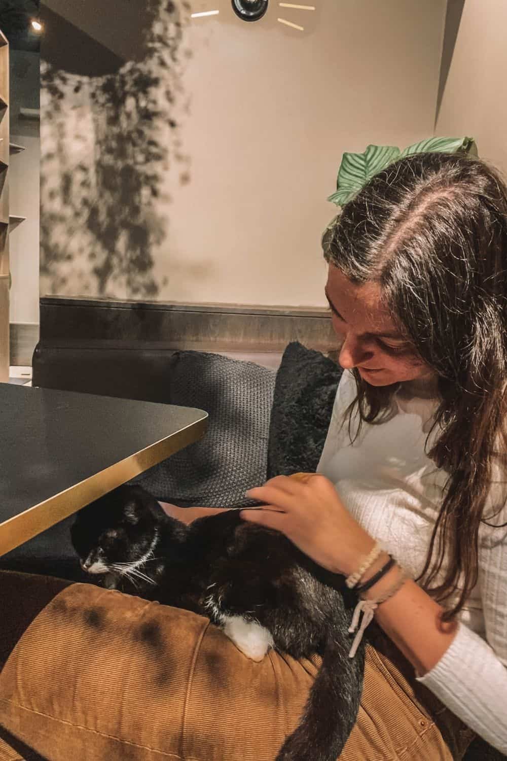 Enigmatic Cat Café, a cute alphabet date idea in E