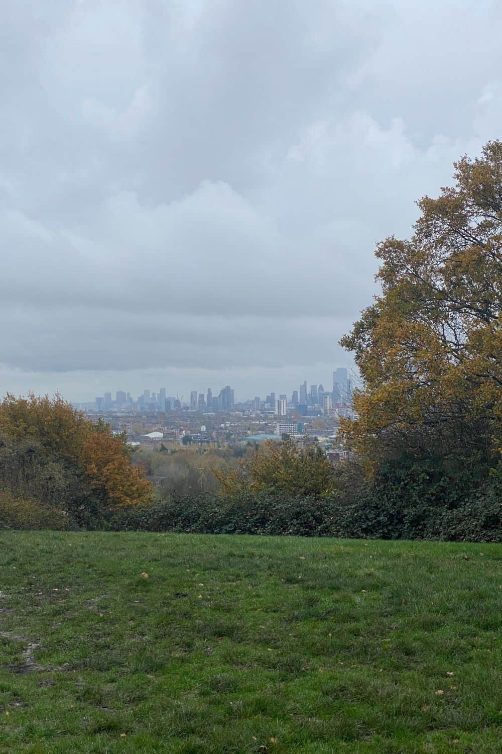 Hampstead Heath Hill for Skyline View