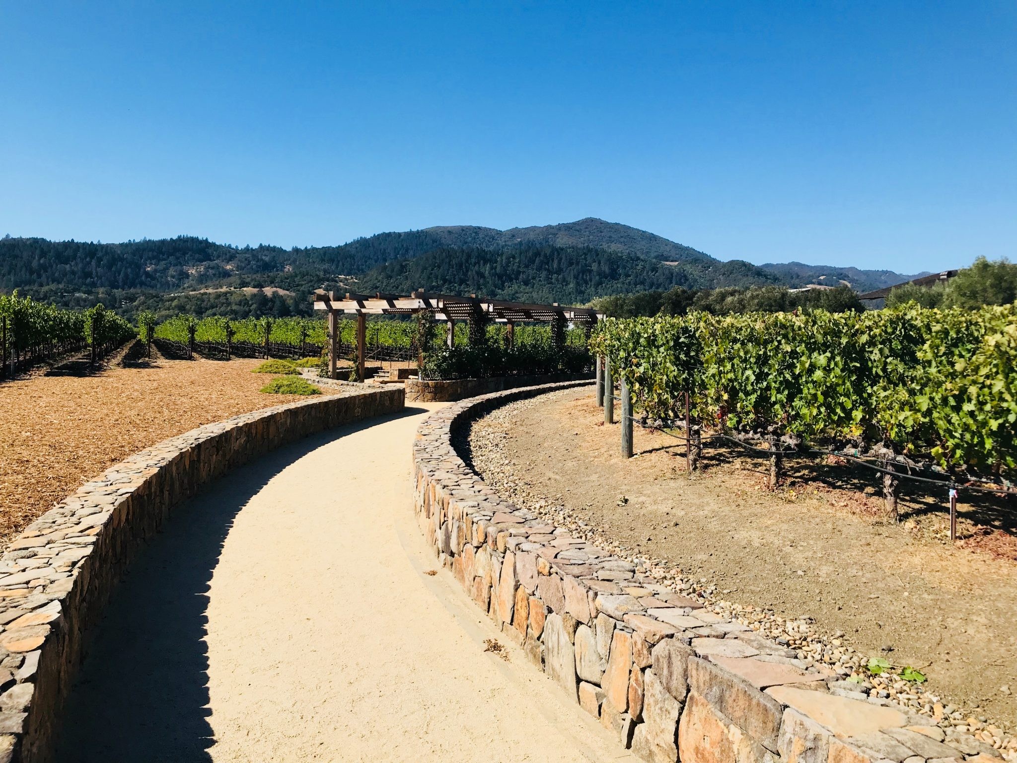 Napa Valley, California